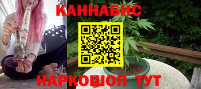 крисы Шебекино