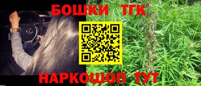 гашик Шахты