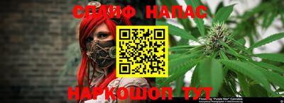крисы Шебекино