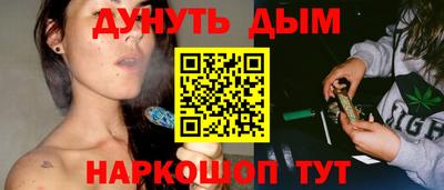 гашик Шахты
