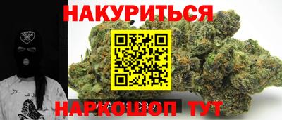 крисы Шебекино
