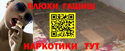 крисы Шебекино