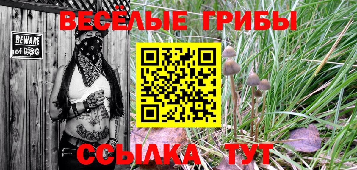 Псилоцибиновые грибы GOLDEN TEACHER Вязьма